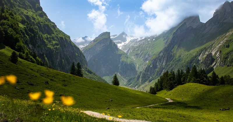 La connaissance du terrain local, cet avantage invisible