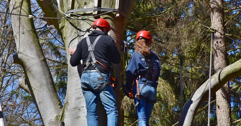 Combien coûte un kit de débutant ? Le budget réel, poste par poste