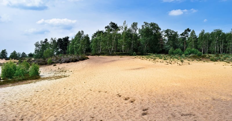 Comment survivre à un trek dans le désert sans y laisser sa peau